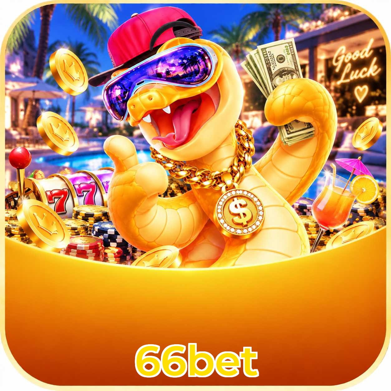 66bet